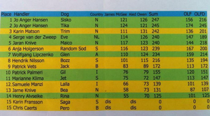 Continental sheepdog championship 2013