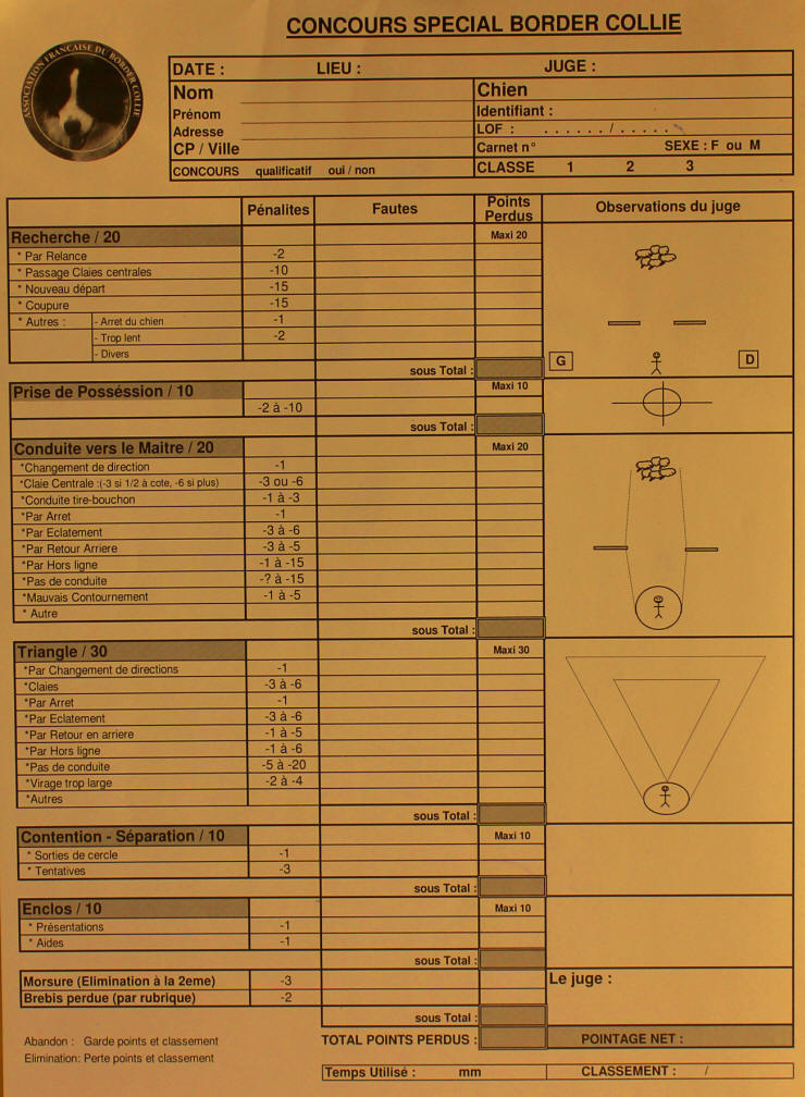 Concours spcial border collie
