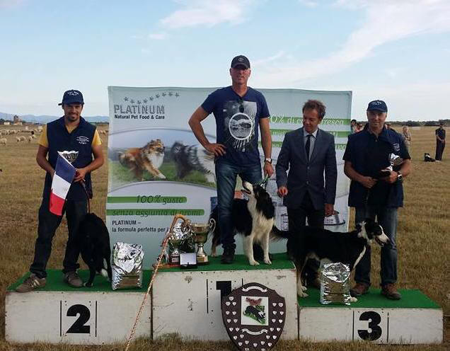 RESULTATS DU CONTINENTAL SHEEPDOG CHAMPIONSHIP 2015