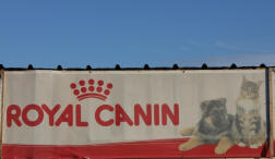 Royal canin