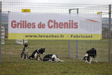 vend chenil dans l'Aude.