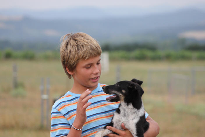 Border collie enfant.