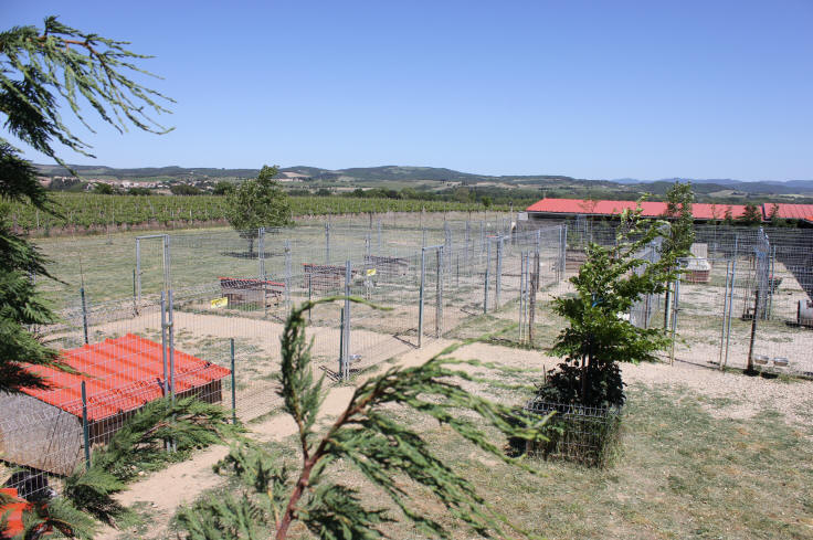 Chenil a vendre dans l'aude