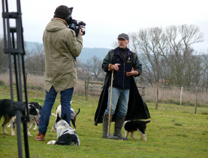 Border collie sur France3