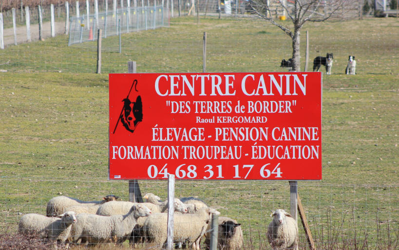 Centre canin dans l'Aude.