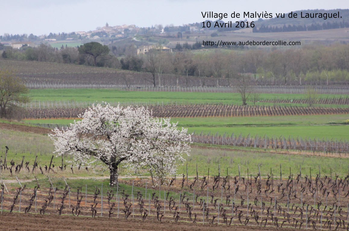 Commune de Malvis.