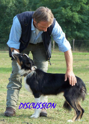 Des terres de border levage de border collies, tholgie vue par boris cyrulnik.