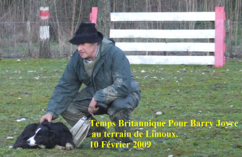 Haute savoie Border collie