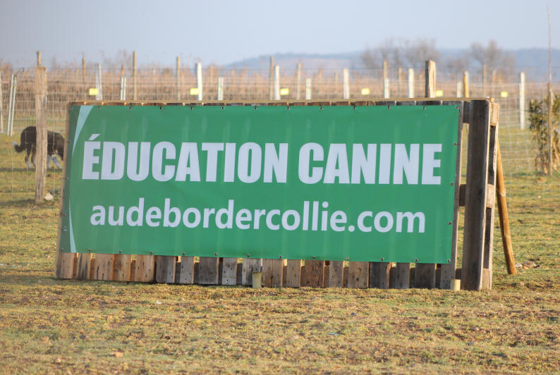 Educateur canin dans l'Aude.