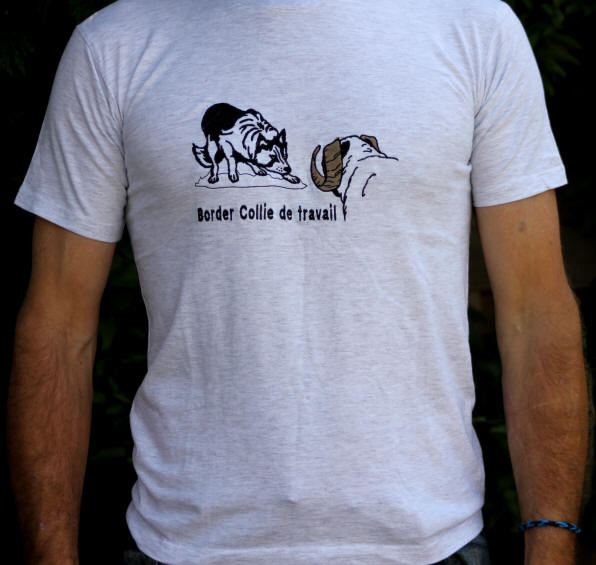 Tee shirt Border collie