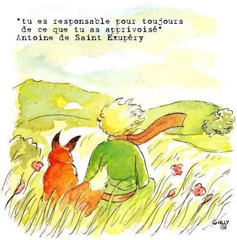 Le petit prince