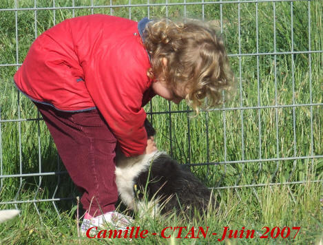 education canine dans l'aude lauraguel limoux raoul kergomard