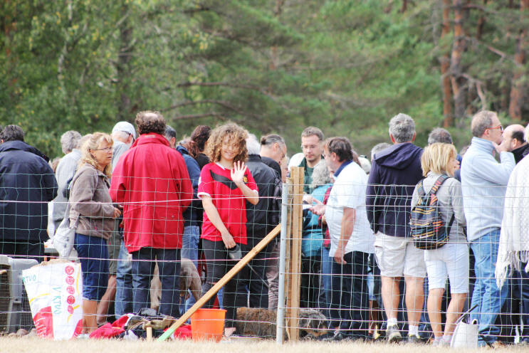 Journes forestires D'axat