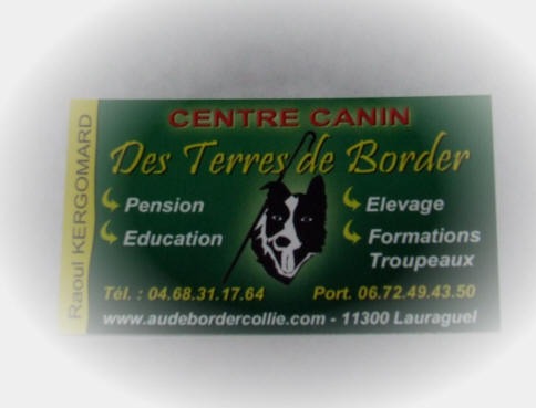 Educateur canin dans l'Aude.