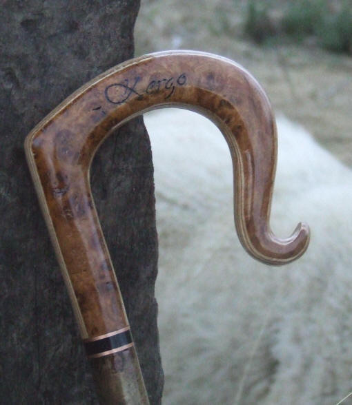 Shepherd crook