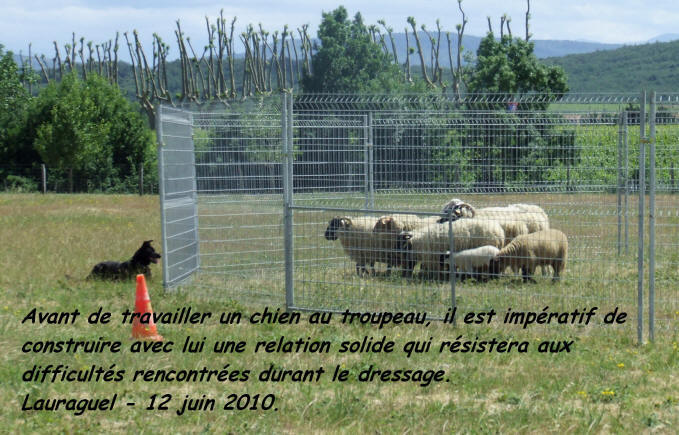 dresseur de chiens dans l'aude