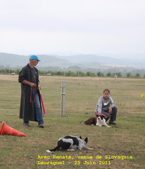 Dresseur de chiens dans l'Aude