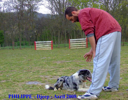 dressage de chiens  lauraguel