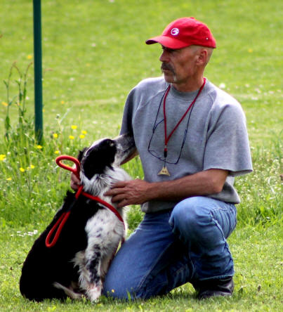 Ain Border collie