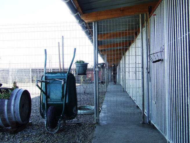 pension canine dans l'aude.