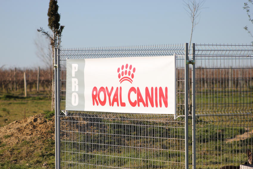 Royal canin