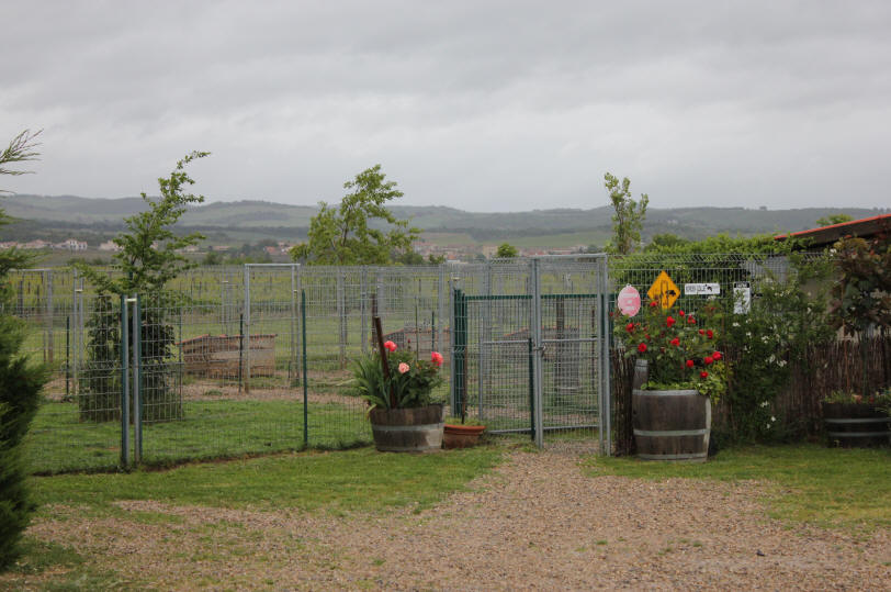 Pension canine dans l'Aude