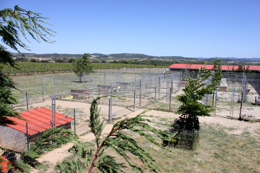 Chenil dans l'Aude.