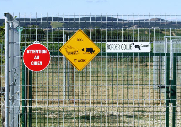 pension canine dans l'aude