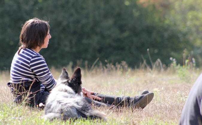 Elevage de Border collie dans le Lot