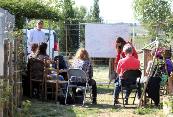 Stage de dressage de chiens de berger