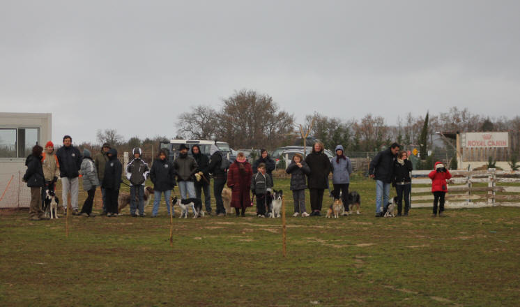 Stage de dresage de chiens de berger.