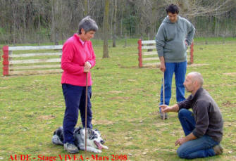 ducation canine dans l'aude