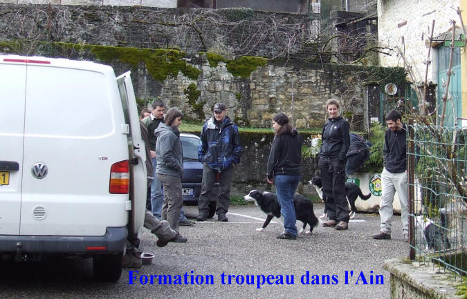 Stage de dressage de chiens dans l'Ain.